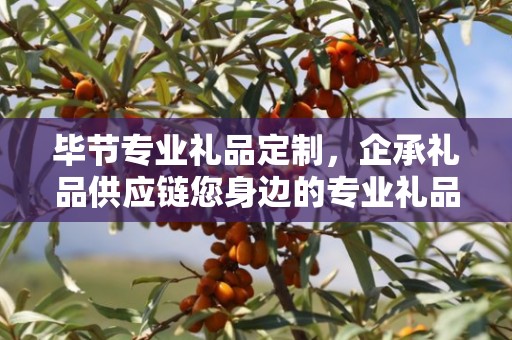 毕节专业礼品定制，企承礼品供应链您身边的专业礼品定制公司