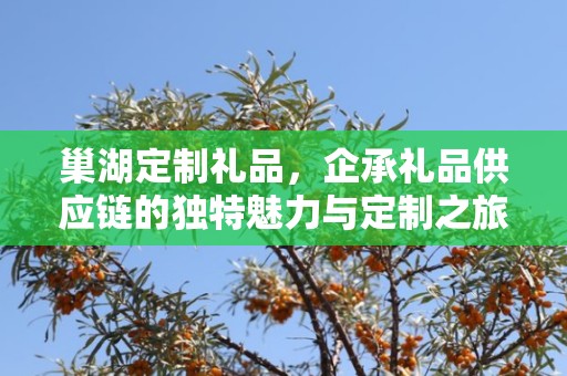 巢湖定制礼品，企承礼品供应链的独特魅力与定制之旅