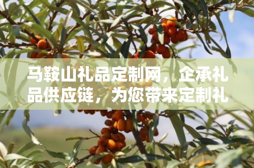 马鞍山礼品定制网，企承礼品供应链，为您带来定制礼品的全新体验