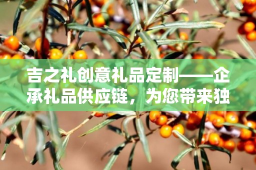 吉之礼创意礼品定制——企承礼品供应链，为您带来独一无二的礼品定制体验